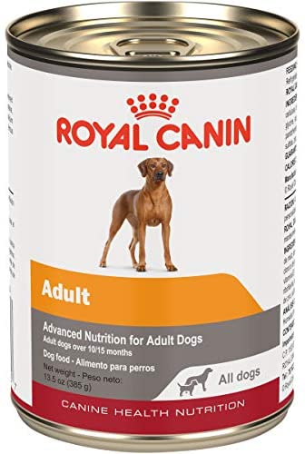 Royal Canin Canine Health Nutrition Adult In Gel Canned Dog Food, 13.5 Oz (Pack of 12)