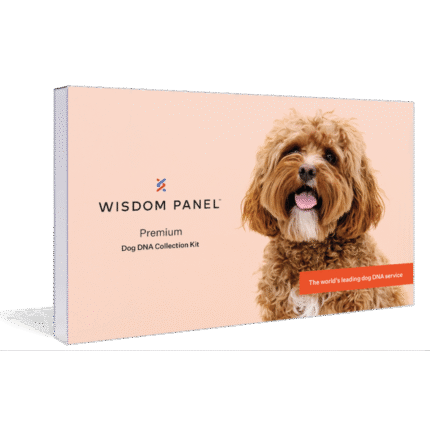 Wisdom Panel Premium Breed Identification & Health Condition Identification Dog DNA Test