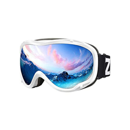 Ski Goggles